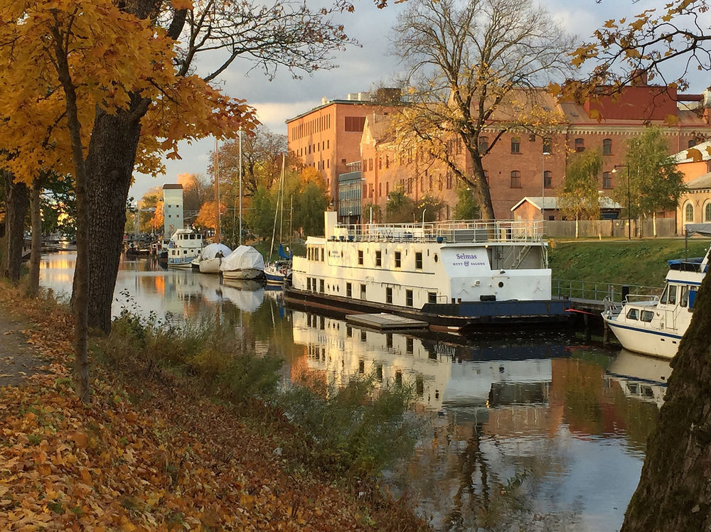 Selmas Hytt Och Salong Hostel Uppsala Luaran gambar